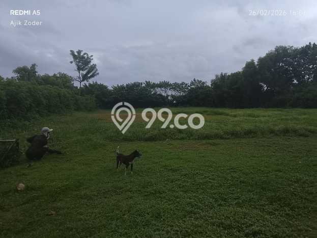 Tanah Kavling Dijual di Delodberawah, Jembrana dengan Luas Tanah 5000m2 Tanah Kavling Dijual di Delodberawah, Jembrana dengan Luas Tanah 5000m2