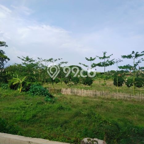 Tanah Dijual di Denpasar Seluas 59000m2 Strategis Tanah Dijual di Denpasar Seluas 59000m2 Strategis