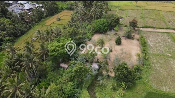 Lahan Strategis di Ubud Dijual dengan Luas 2358m2 Lahan Strategis di Ubud Dijual dengan Luas 2358m2