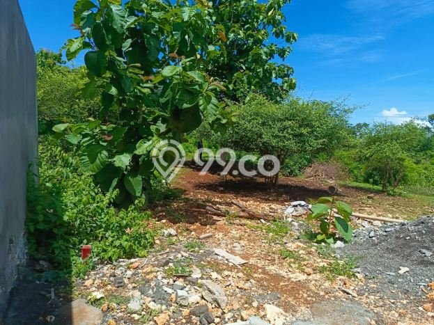 Kavling Tanah Dijual di Kuta Selatan Badung Spesifikasi 350m2 Kavling Tanah Dijual di Kuta Selatan Badung Spesifikasi 350m2