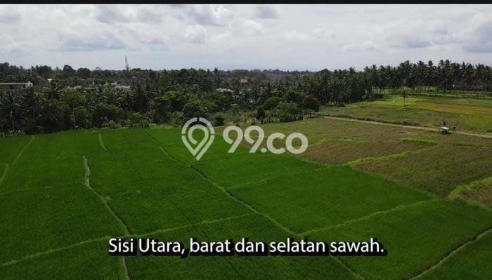 Lahan Strategis di Ubud Dijual dengan Luas 2358m2 Lahan Strategis di Ubud Dijual dengan Luas 2358m2