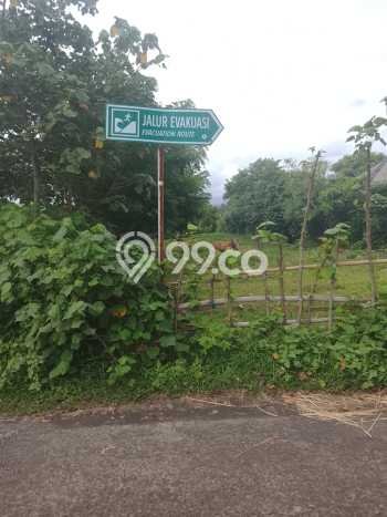 Tanah Kavling Dijual di Delodberawah, Jembrana dengan Luas Tanah 5000m2 Tanah Kavling Dijual di Delodberawah, Jembrana dengan Luas Tanah 5000m2