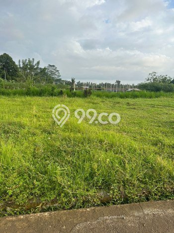 Tanah Dijual Lokasi Kediri, Tabanan dengan Luas Tanah 1500m2 dan Status SHM Tanah Dijual Lokasi Kediri, Tabanan dengan Luas Tanah 1500m2 dan Status SHM