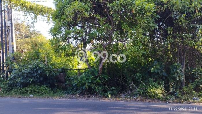 Tanah Komersial Dijual di Denpasar Utara Denpasar 800m2 Tanah Komersial Dijual di Denpasar Utara Denpasar 800m2