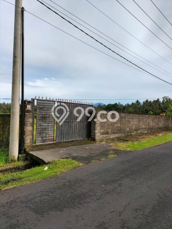 Lahan untuk Dijual Lokasi Mengwi, Badung Luas 2250m2 SHM Lahan untuk Dijual Lokasi Mengwi, Badung Luas 2250m2 SHM