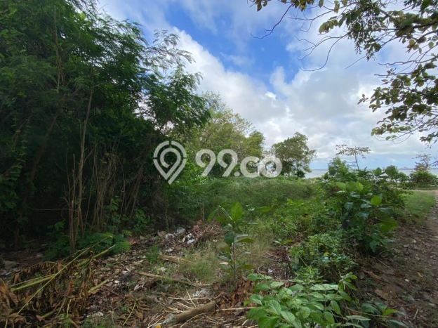 Tanah Kavling Dijual di Nusa Dua, Badung dengan Luas Tanah 1235m2 Tanah Kavling Dijual di Nusa Dua, Badung dengan Luas Tanah 1235m2