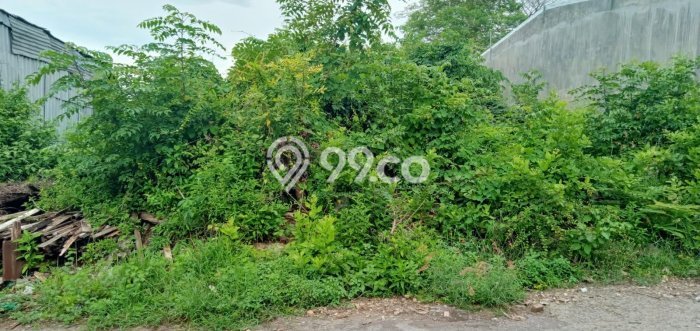 Untuk Dijual Tanah 250m2 di Nusa Dua, Badung Untuk Dijual Tanah 250m2 di Nusa Dua, Badung
