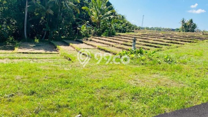 Untuk Dijual Tanah di Tabanan, Luas 3275m2 SHM Untuk Dijual Tanah di Tabanan, Luas 3275m2 SHM