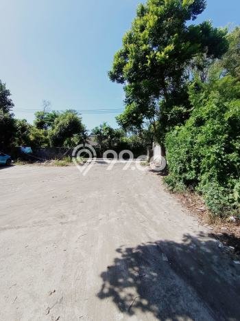 Tanah di Kuta, Badung Luas 2000m2 Dijual Segera Tanah di Kuta, Badung Luas 2000m2 Dijual Segera