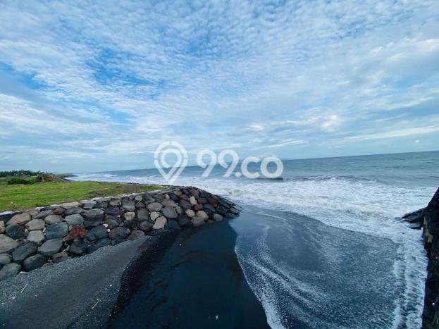 Lahan untuk Dijual Lokasi Gianyar, Gianyar Luas 3100m2 SHM Lahan untuk Dijual Lokasi Gianyar, Gianyar Luas 3100m2 SHM