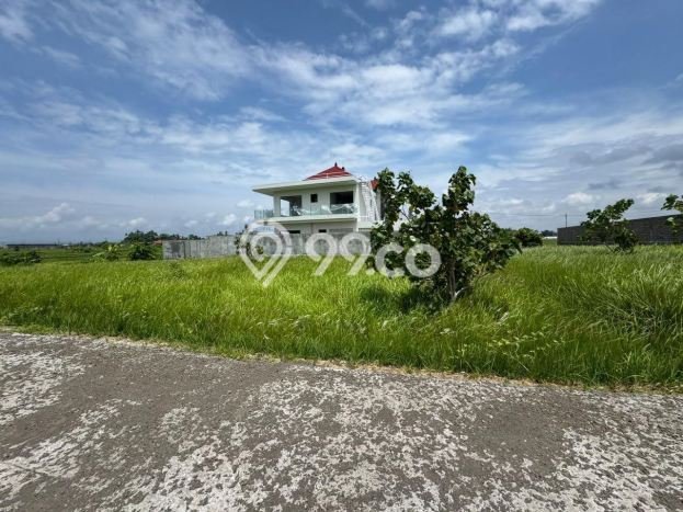 Lahan Investasi Lokasi Kediri Tabanan SHM Lahan Investasi Lokasi Kediri Tabanan SHM