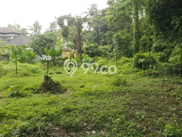 Kavling Tanah di Ubud Dijual Luas 300m2 Legalitas SHM Kavling Tanah di Ubud Dijual Luas 300m2 Legalitas SHM
