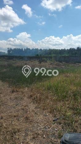 Lahan untuk Dijual Lokasi Mengwi, Badung Luas 2250m2 SHM Lahan untuk Dijual Lokasi Mengwi, Badung Luas 2250m2 SHM