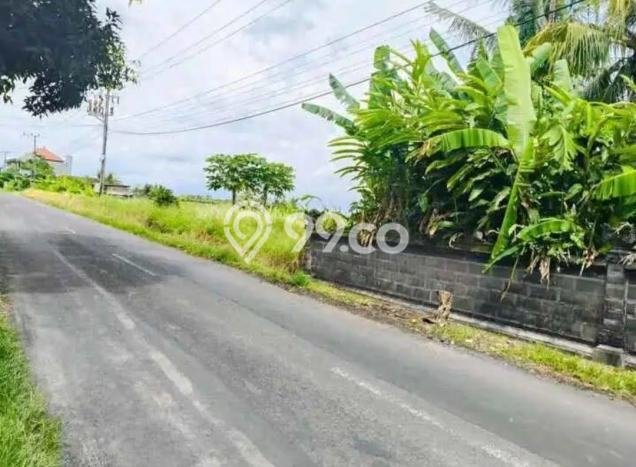 Tanah Kavling Dijual di Munggu, Badung dengan Luas Tanah 5000m2 Tanah Kavling Dijual di Munggu, Badung dengan Luas Tanah 5000m2