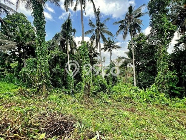 Tanah di Ubud, Gianyar Luas 2163m2 Dijual Segera Tanah di Ubud, Gianyar Luas 2163m2 Dijual Segera