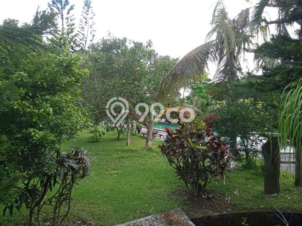LOKASI STRATEGIS! Vila di Ubud, Area 3500m2m², Lokasi Prima LOKASI STRATEGIS! Vila di Ubud, Area 3500m2m², Lokasi Prima
