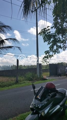 Lahan untuk Dijual Lokasi Mengwi, Badung Luas 2250m2 SHM Lahan untuk Dijual Lokasi Mengwi, Badung Luas 2250m2 SHM