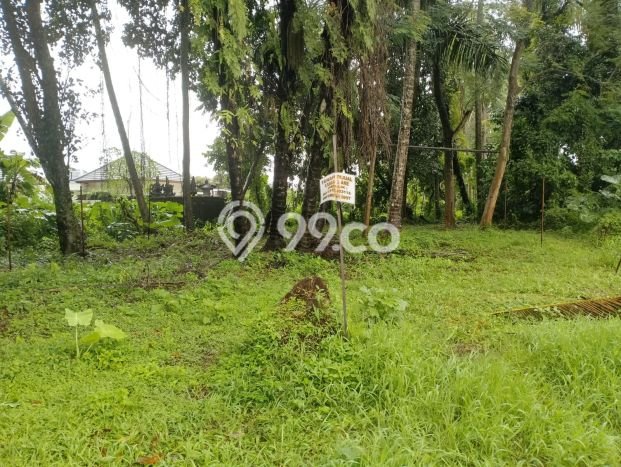 Kavling Tanah di Ubud Dijual Luas 300m2 Legalitas SHM Kavling Tanah di Ubud Dijual Luas 300m2 Legalitas SHM