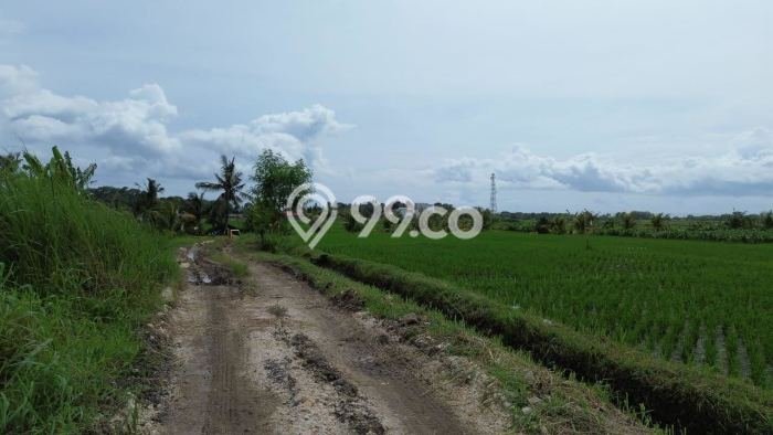 Dijual Tanah Lokasi Kelating, Tabanan Seluas 700m2 Dijual Tanah Lokasi Kelating, Tabanan Seluas 700m2