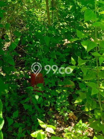 Kavling Tanah Dijual di Kuta Selatan Badung Spesifikasi 350m2 Kavling Tanah Dijual di Kuta Selatan Badung Spesifikasi 350m2