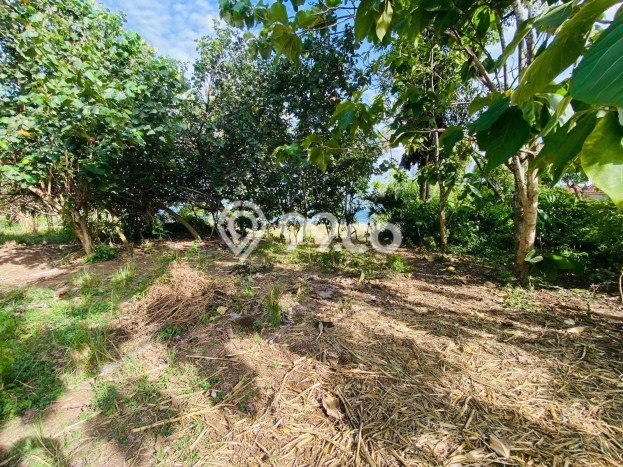 Lahan untuk Dijual di Gianyar Gianyar Luas 3569m2 Lahan untuk Dijual di Gianyar Gianyar Luas 3569m2