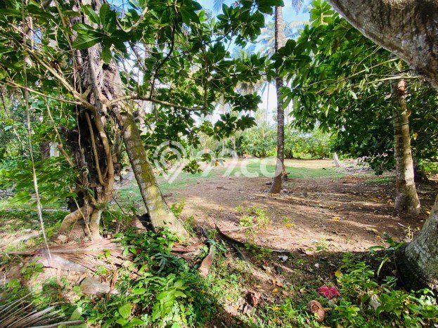 Tanah Komersial Dijual di Gianyar Gianyar 600m2 Tanah Komersial Dijual di Gianyar Gianyar 600m2
