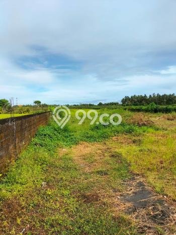 Lahan untuk Dijual Lokasi Mengwi, Badung Luas 2250m2 SHM Lahan untuk Dijual Lokasi Mengwi, Badung Luas 2250m2 SHM