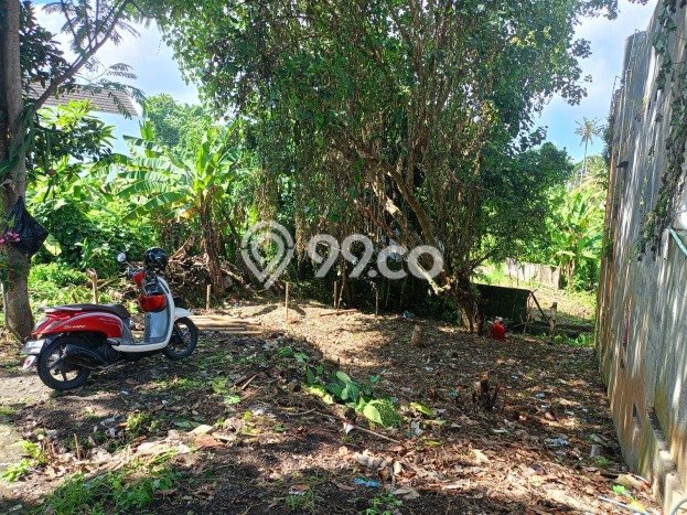Dijual Tanah Lokasi Munggu, Badung Seluas 200m2 Dijual Tanah Lokasi Munggu, Badung Seluas 200m2