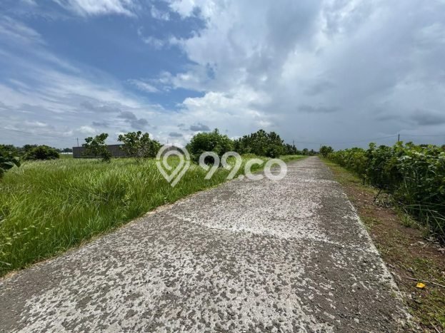 Lahan Investasi Lokasi Kediri Tabanan SHM Lahan Investasi Lokasi Kediri Tabanan SHM