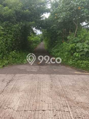 Tanah Kavling Dijual di Delodberawah, Jembrana dengan Luas Tanah 5000m2 Tanah Kavling Dijual di Delodberawah, Jembrana dengan Luas Tanah 5000m2