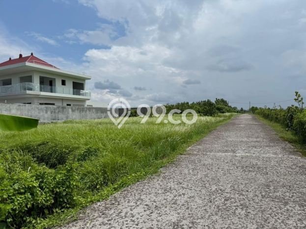 Lahan Investasi Lokasi Kediri Tabanan SHM Lahan Investasi Lokasi Kediri Tabanan SHM