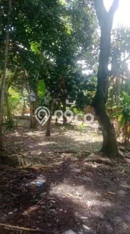 Kavling Tanah Dijual di Denpasar Utara Denpasar Spesifikasi 2700m2 Kavling Tanah Dijual di Denpasar Utara Denpasar Spesifikasi 2700m2