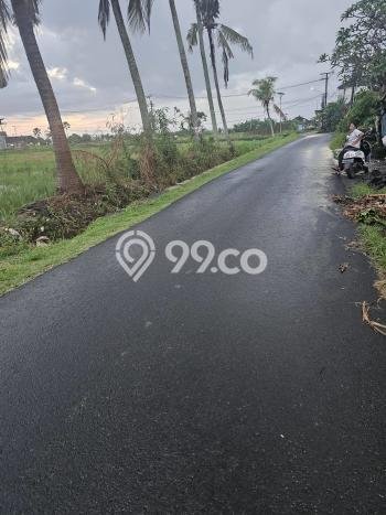 Tanah Investasi Dijual di Tabanan Punya Luas 3450m2 Tanah Investasi Dijual di Tabanan Punya Luas 3450m2