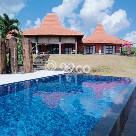 Untuk Dijual Tanah 550m2 di Munggu, Badung Untuk Dijual Tanah 550m2 di Munggu, Badung