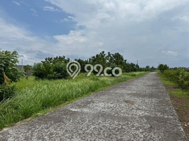 Lahan Investasi Lokasi Kediri Tabanan SHM Lahan Investasi Lokasi Kediri Tabanan SHM