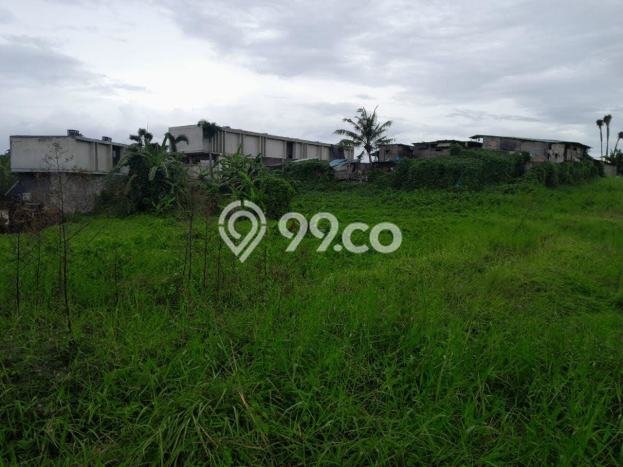 Tanah Kavling Dijual di Munggu, Badung dengan Luas Tanah 2400m2 Tanah Kavling Dijual di Munggu, Badung dengan Luas Tanah 2400m2