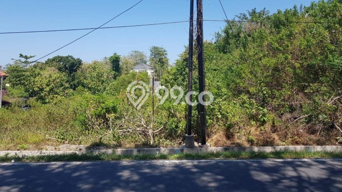 Jarang Ada! Tanah di Kuta Selatan Punya Luas 5763m2 SHM Jarang Ada! Tanah di Kuta Selatan Punya Luas 5763m2 SHM
