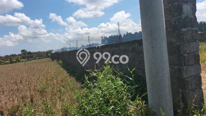 Lahan untuk Dijual Lokasi Mengwi, Badung Luas 2250m2 SHM Lahan untuk Dijual Lokasi Mengwi, Badung Luas 2250m2 SHM