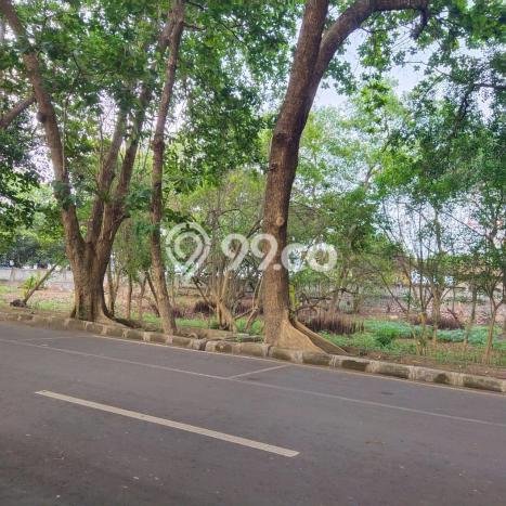 Tanah Dijual di Denpasar Seluas 59000m2 Strategis Tanah Dijual di Denpasar Seluas 59000m2 Strategis