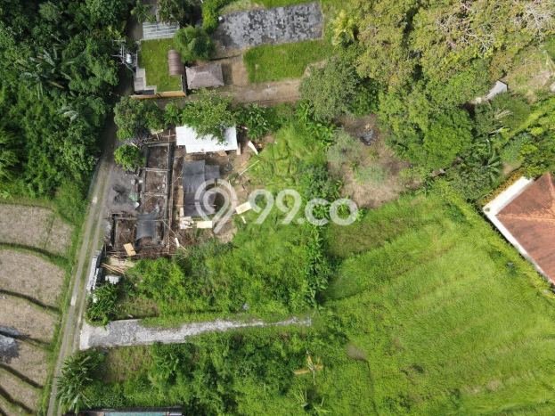 Tanah Kavling Dijual di Badung dengan Spesifikasi 137m2 Tanah Kavling Dijual di Badung dengan Spesifikasi 137m2