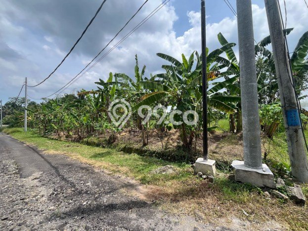 Tanah Dijual Lokasi Kediri, Tabanan Luas 150m2 Legalitas Aman Tanah Dijual Lokasi Kediri, Tabanan Luas 150m2 Legalitas Aman