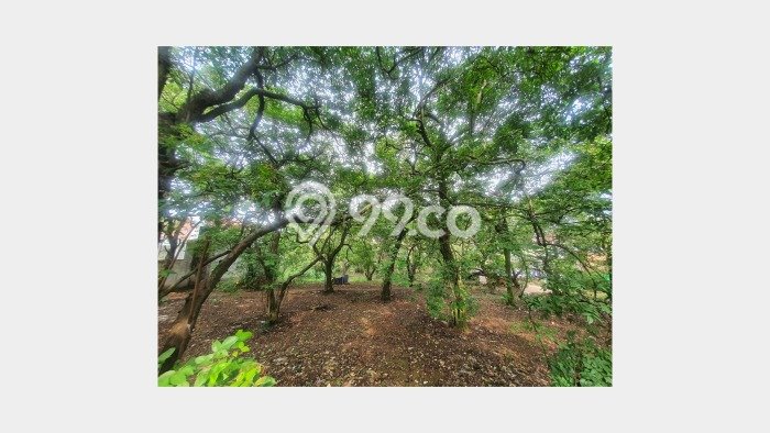Tanah Dijual di Depok Seluas 2600m2 Strategis Tanah Dijual di Depok Seluas 2600m2 Strategis