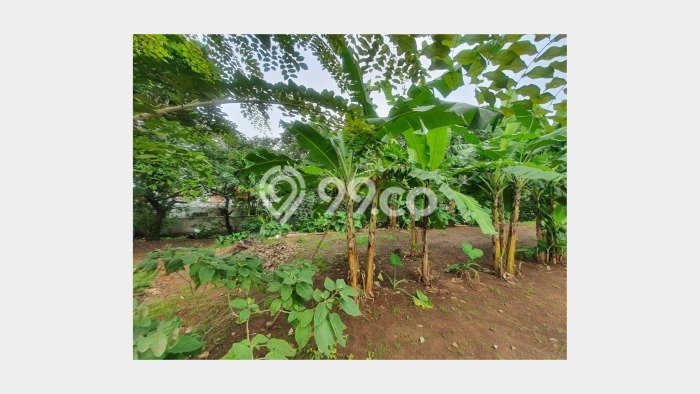 Tanah Kavling Dijual di Depok dengan Spesifikasi 2600m2 Tanah Kavling Dijual di Depok dengan Spesifikasi 2600m2