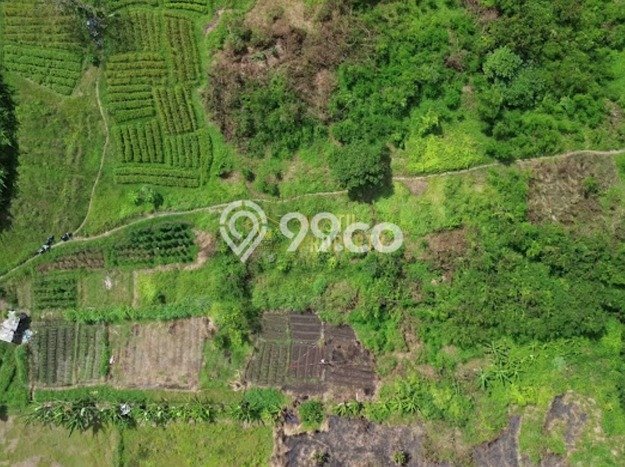 Tanah Dijual di Badung Seluas 26000m2 Strategis Tanah Dijual di Badung Seluas 26000m2 Strategis