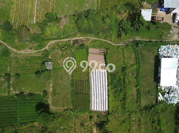 Dijual Tanah di Banjarangkan Klungkung Luas 26000m2 SHM Dijual Tanah di Banjarangkan Klungkung Luas 26000m2 SHM