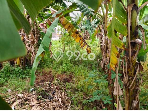 Tanah untuk Dijual di Mustikajaya Bekasi Luas 2721m2 Tanah untuk Dijual di Mustikajaya Bekasi Luas 2721m2