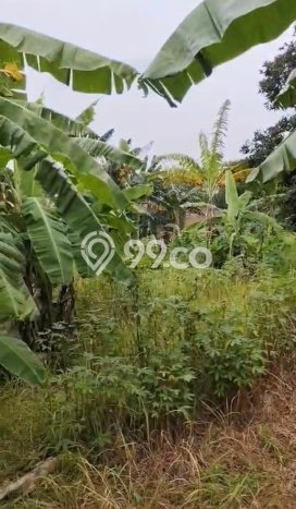 Tanah untuk Dijual di Mustikajaya Bekasi Luas 2721m2 Tanah untuk Dijual di Mustikajaya Bekasi Luas 2721m2