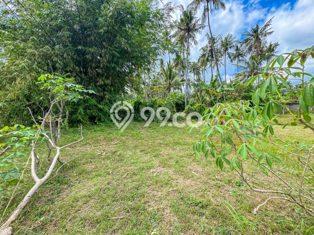 Tanah Kavling Dijual di Buleleng dengan Spesifikasi 400m2 Tanah Kavling Dijual di Buleleng dengan Spesifikasi 400m2