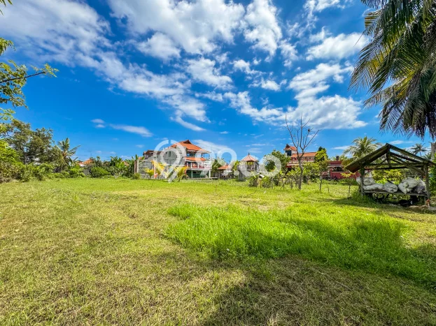 Tanah Kavling Dijual di Buleleng dengan Spesifikasi 1200m2 Tanah Kavling Dijual di Buleleng dengan Spesifikasi 1200m2