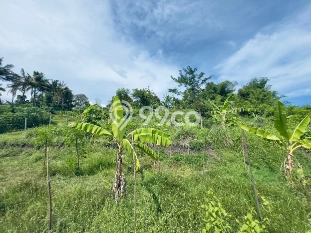 Lahan Kosong Dijual di Buleleng dengan Area 1600m2 Lahan Kosong Dijual di Buleleng dengan Area 1600m2